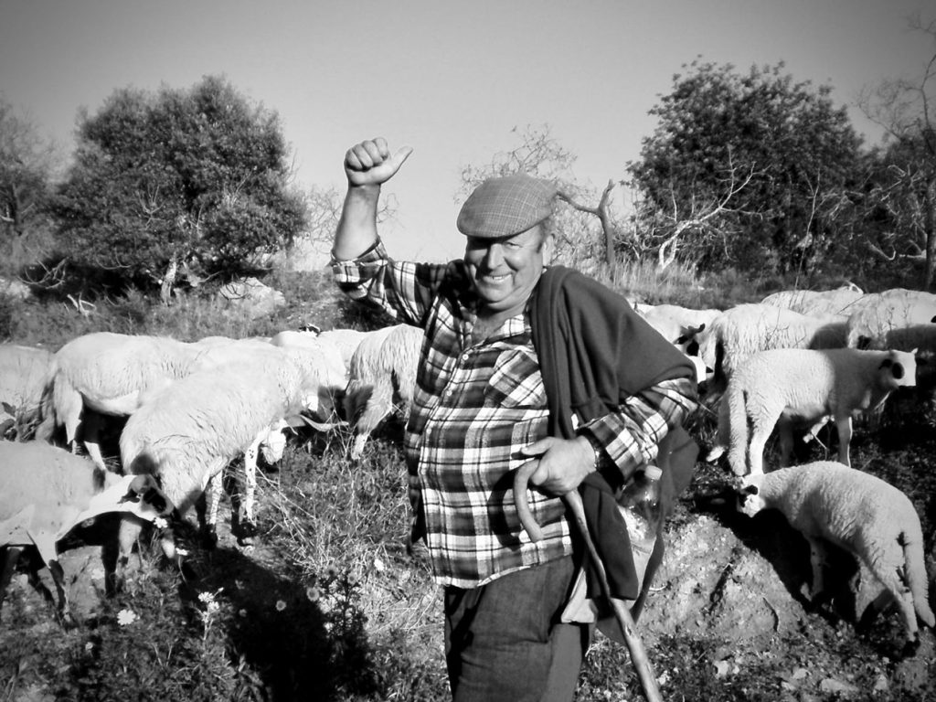 A happy shepherd with his flock